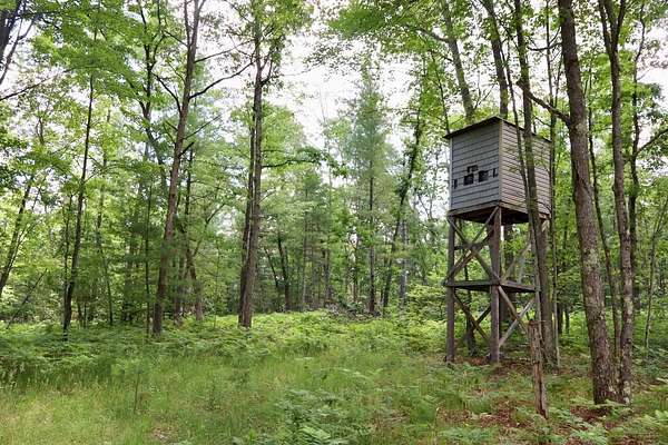 69.2 Acres of Recreational Land for Sale in Harrison, Michigan