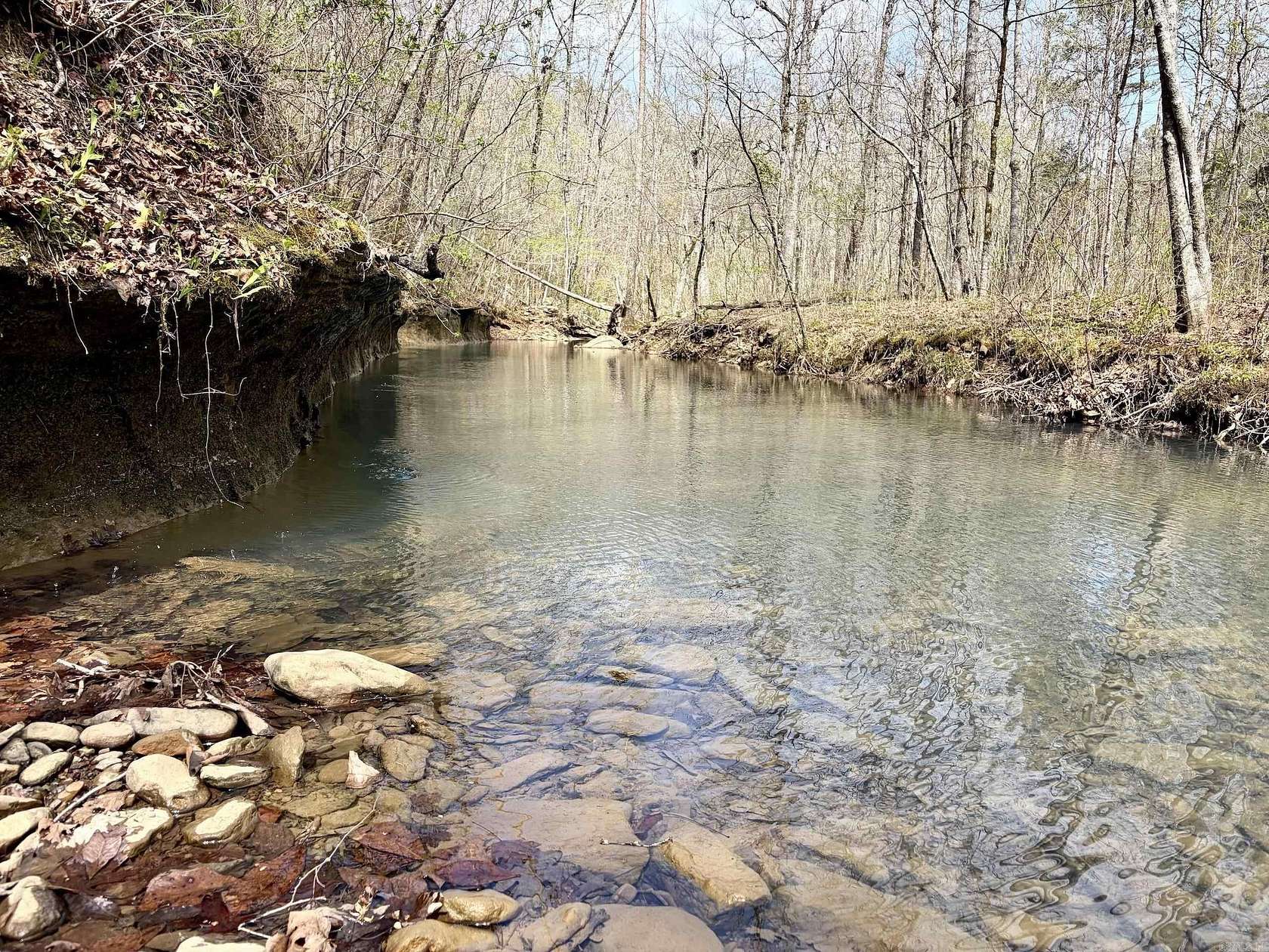 40 Acres of Recreational & Residential Land for Sale in Clinton, Arkansas