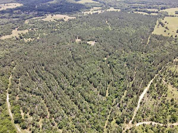 116 Acres of Recreational & Residential Land for Sale in Lonsdale, Arkansas