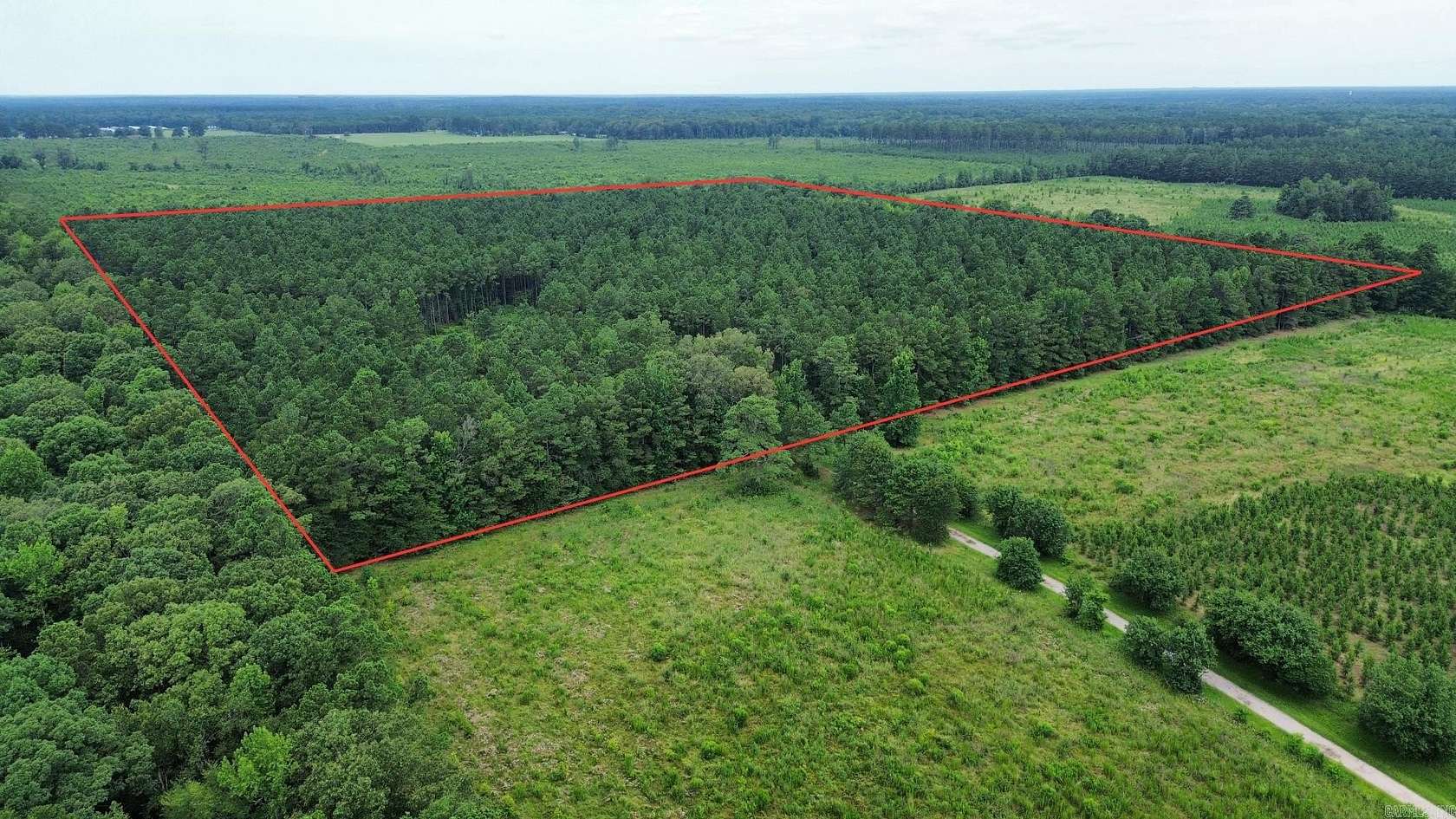 40 Acres of Recreational & Residential Land for Sale in Pine Bluff, Arkansas