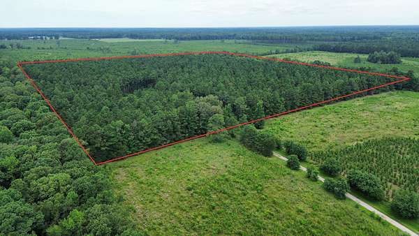 40 Acres of Recreational & Residential Land for Sale in Pine Bluff, Arkansas