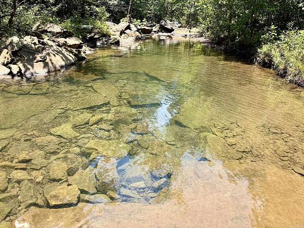 135 Acres of Recreational & Residential Land for Sale in Clinton, Arkansas