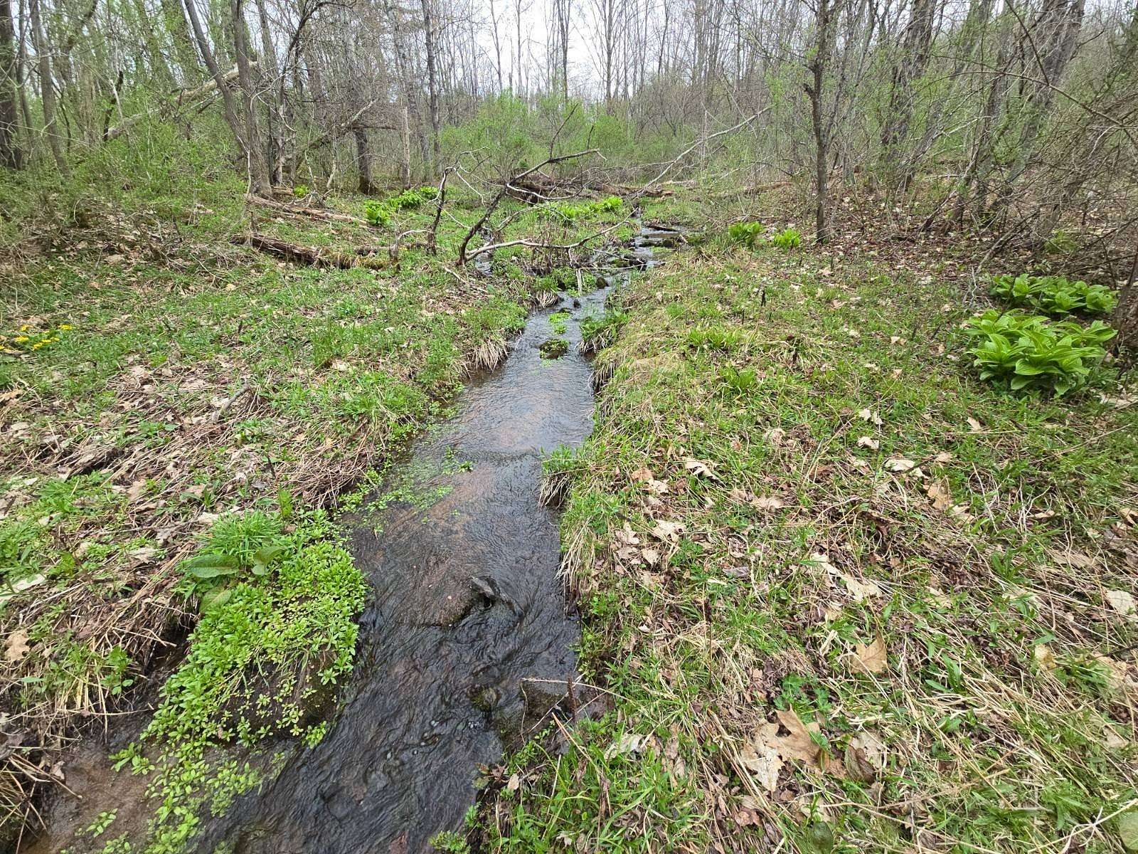 18.3 Acres of Recreational & Residential Land for Sale in Guilford, New York