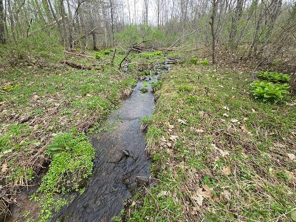 18.3 Acres of Recreational & Residential Land for Sale in Guilford, New York