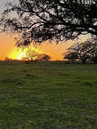 41.6 Acres of Land for Sale in Flatonia, Texas