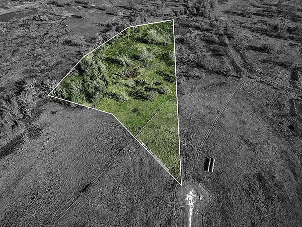 10 Acres of Recreational & Residential Land for Sale in Kosse, Texas