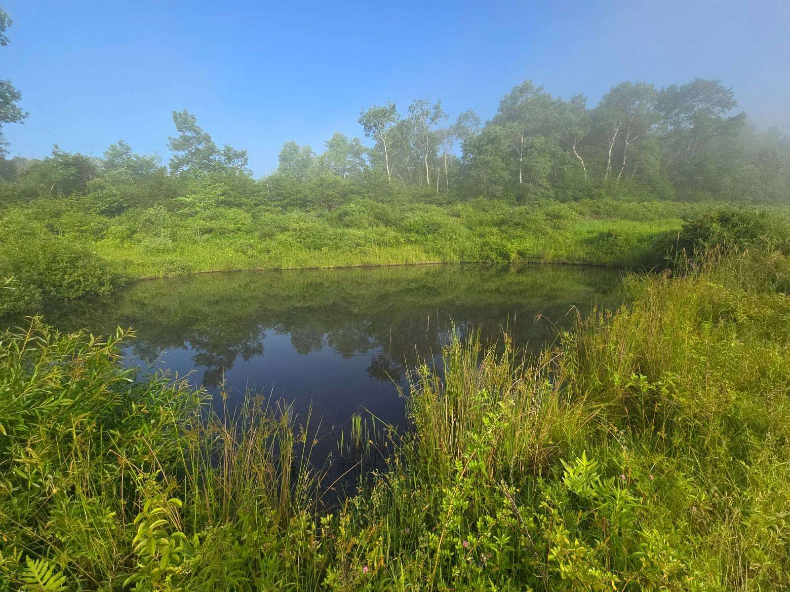 7 Acres of Land for Sale in DeRuyter, New York