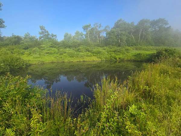 7 Acres of Land for Sale in DeRuyter, New York