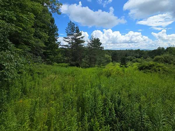 68.8 Acres of Recreational & Residential Land for Sale in Edmeston, New York