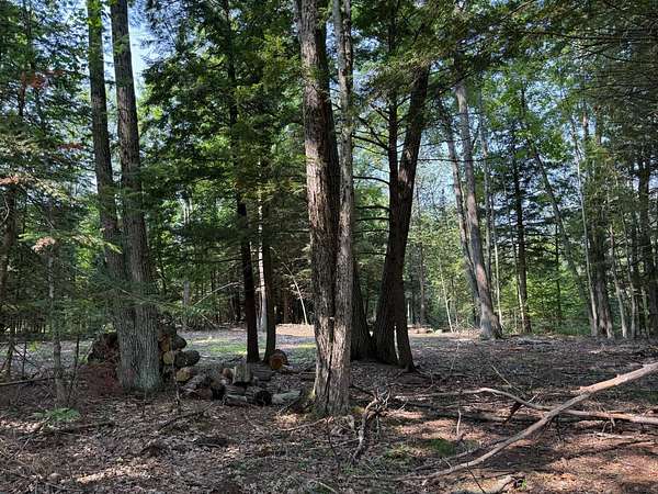 20 Acres of Recreational Land for Sale in Rosholt, Wisconsin