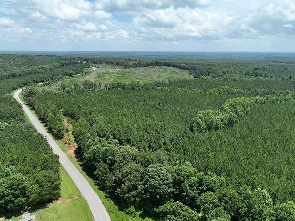 72.8 Acres of Recreational & Residential Land for Sale in Wadley, Alabama