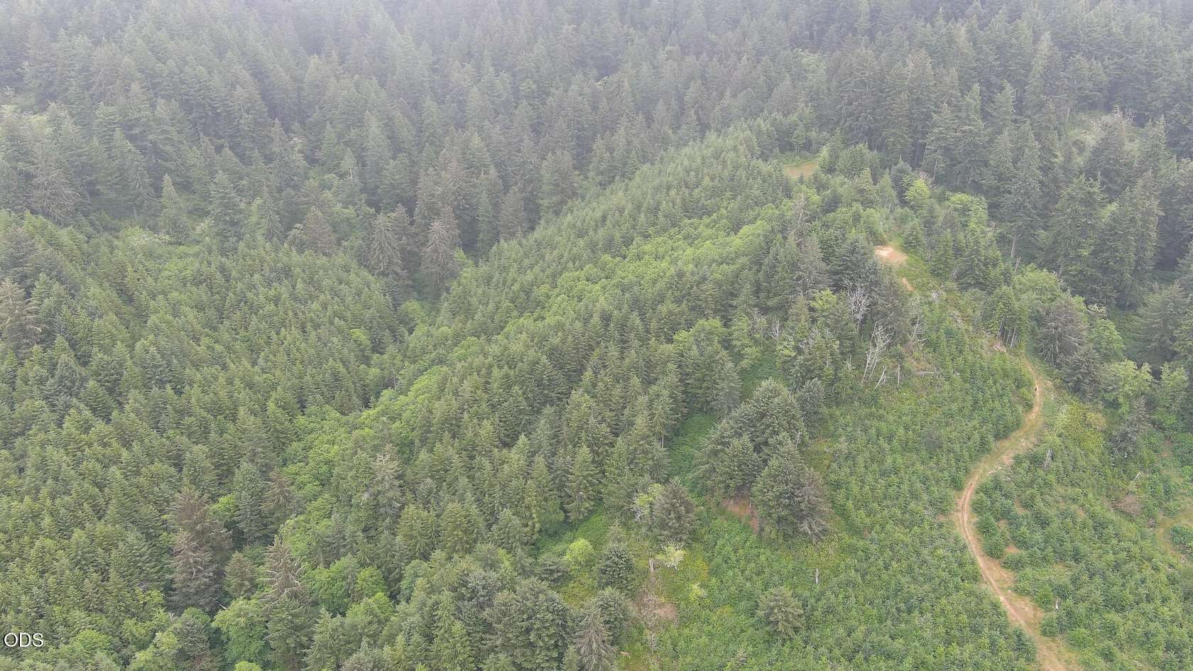 79 Acres of Recreational & Residential Land for Sale in Waldport, Oregon