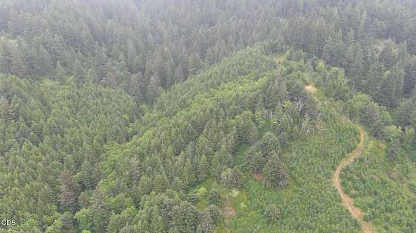 79 Acres of Recreational & Residential Land for Sale in Waldport, Oregon