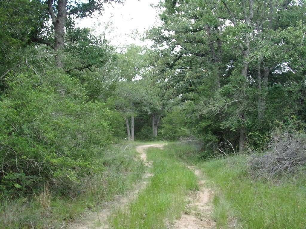 78 Acres of Recreational Land for Sale in Weimar, Texas