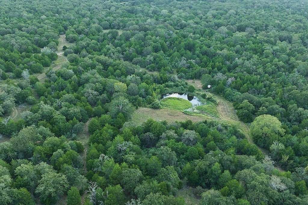 78 Acres of Recreational Land for Sale in Weimar, Texas