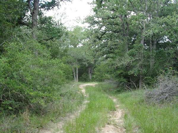 78 Acres of Recreational Land for Sale in Weimar, Texas