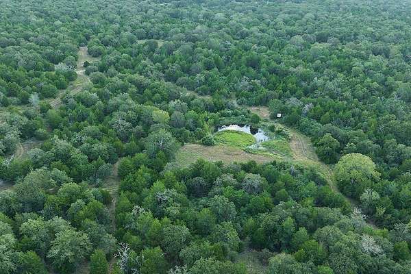 78 Acres of Recreational Land for Sale in Weimar, Texas