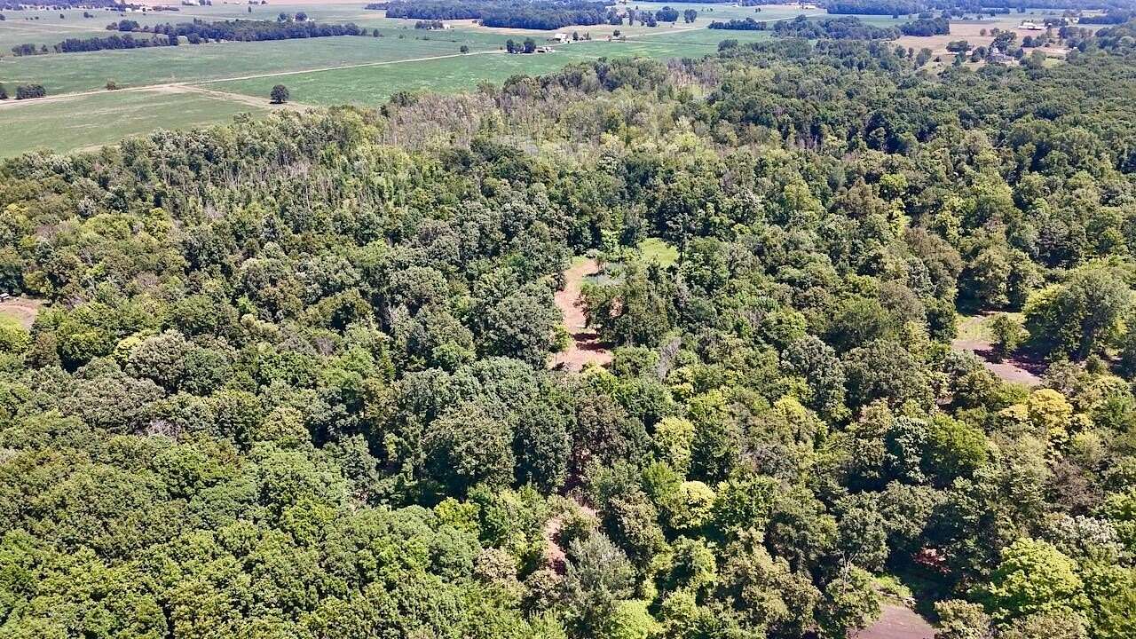 20 Acres of Recreational Land for Sale in St. Johns, Michigan