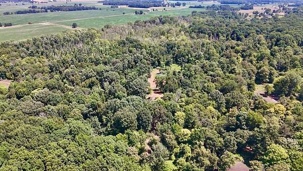 20 Acres of Recreational Land for Sale in St. Johns, Michigan