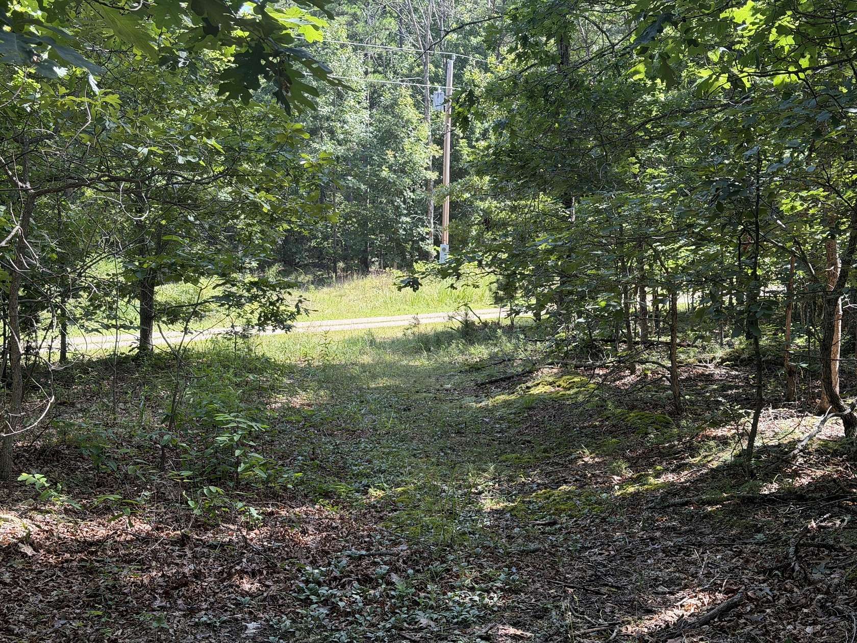 5 Acres of Residential Land for Sale in Raymondville, Missouri