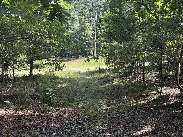 5 Acres of Residential Land for Sale in Raymondville, Missouri