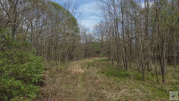 90 Acres of Recreational & Residential Land for Sale in Bagwell, Texas
