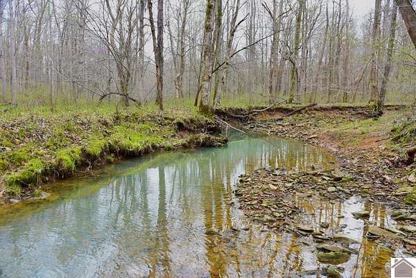 148 Acres of Land for Sale in Smithland, Kentucky