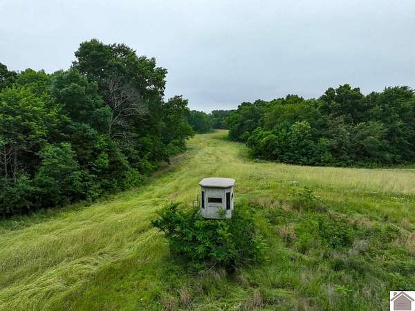 37.3 Acres of Land for Sale in New Concord, Kentucky