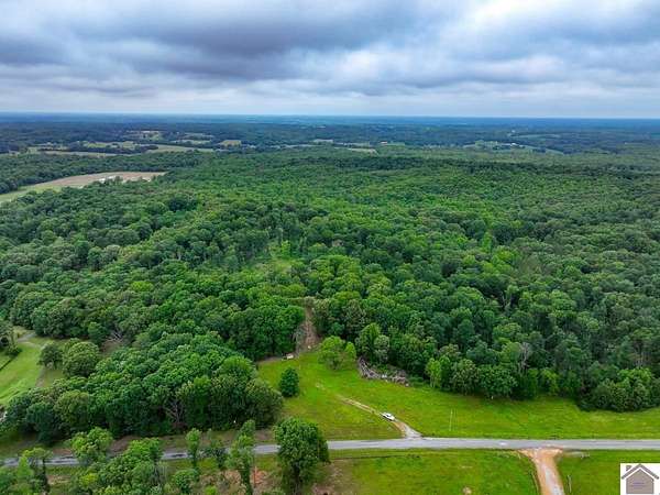 31.8 Acres of Recreational & Residential Land for Sale in Dexter, Kentucky