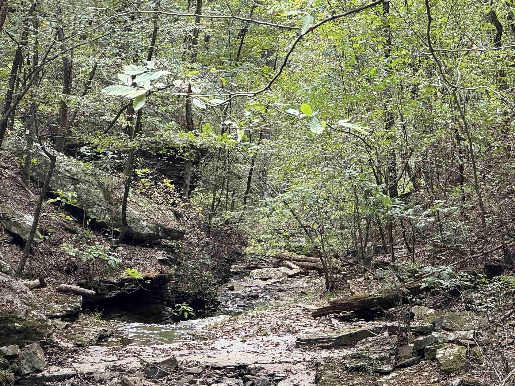 140 Acres of Recreational Land for Sale in Clinton, Arkansas