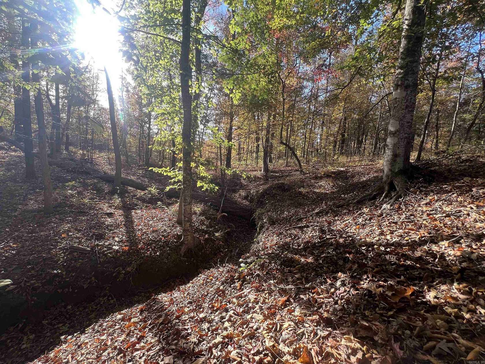 116 Acres of Recreational Land for Sale in Pine Bluff, Arkansas