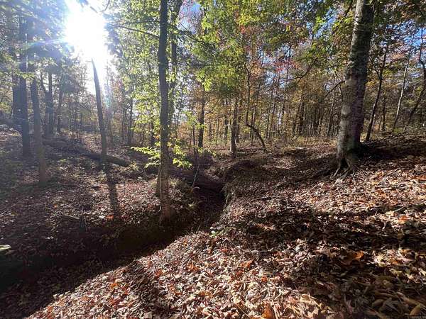 116 Acres of Recreational Land for Sale in Pine Bluff, Arkansas