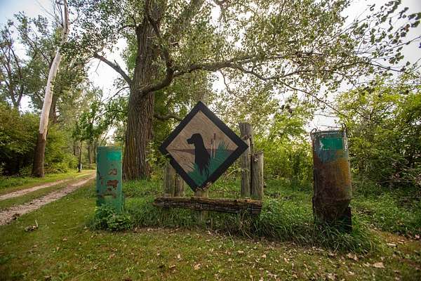 308 Acres of Land for Sale in Tekamah, Nebraska