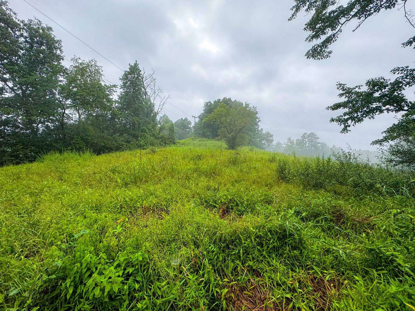 19.3 Acres of Recreational Land for Sale in Harrisville, West Virginia