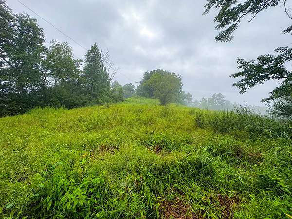 19.3 Acres of Recreational Land for Sale in Harrisville, West Virginia