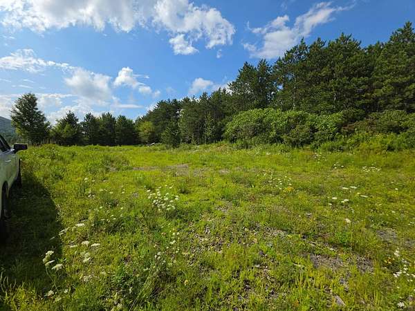 38.4 Acres of Recreational & Residential Land for Sale in Lapeer, New York