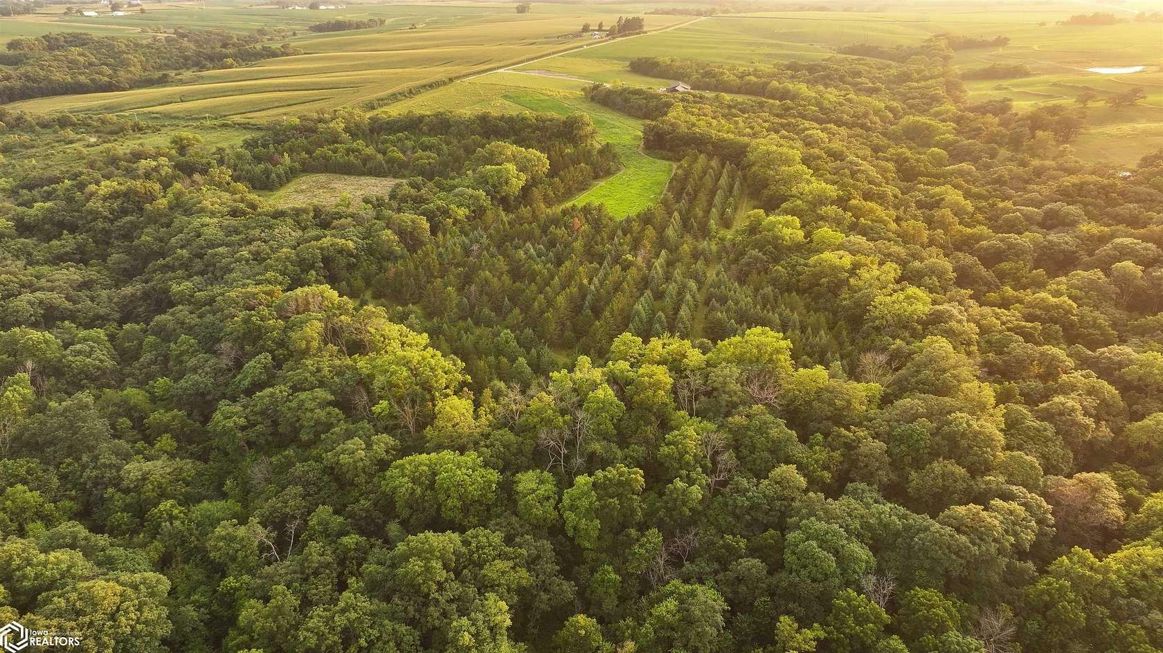 20 Acres of Land for Sale in Stuart, Iowa