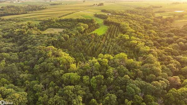 20 Acres of Land for Sale in Stuart, Iowa