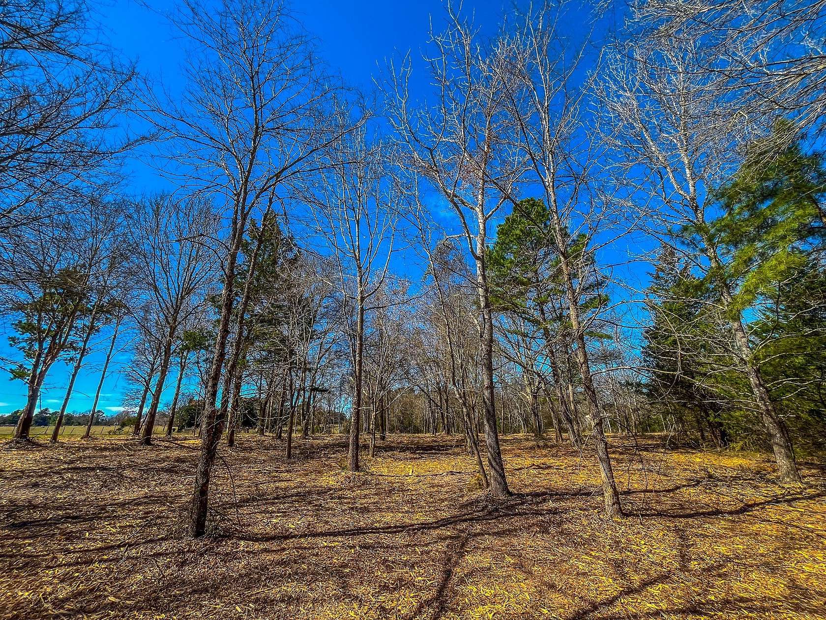 11.6 Acres of Land for Sale in Jacksonville, Texas