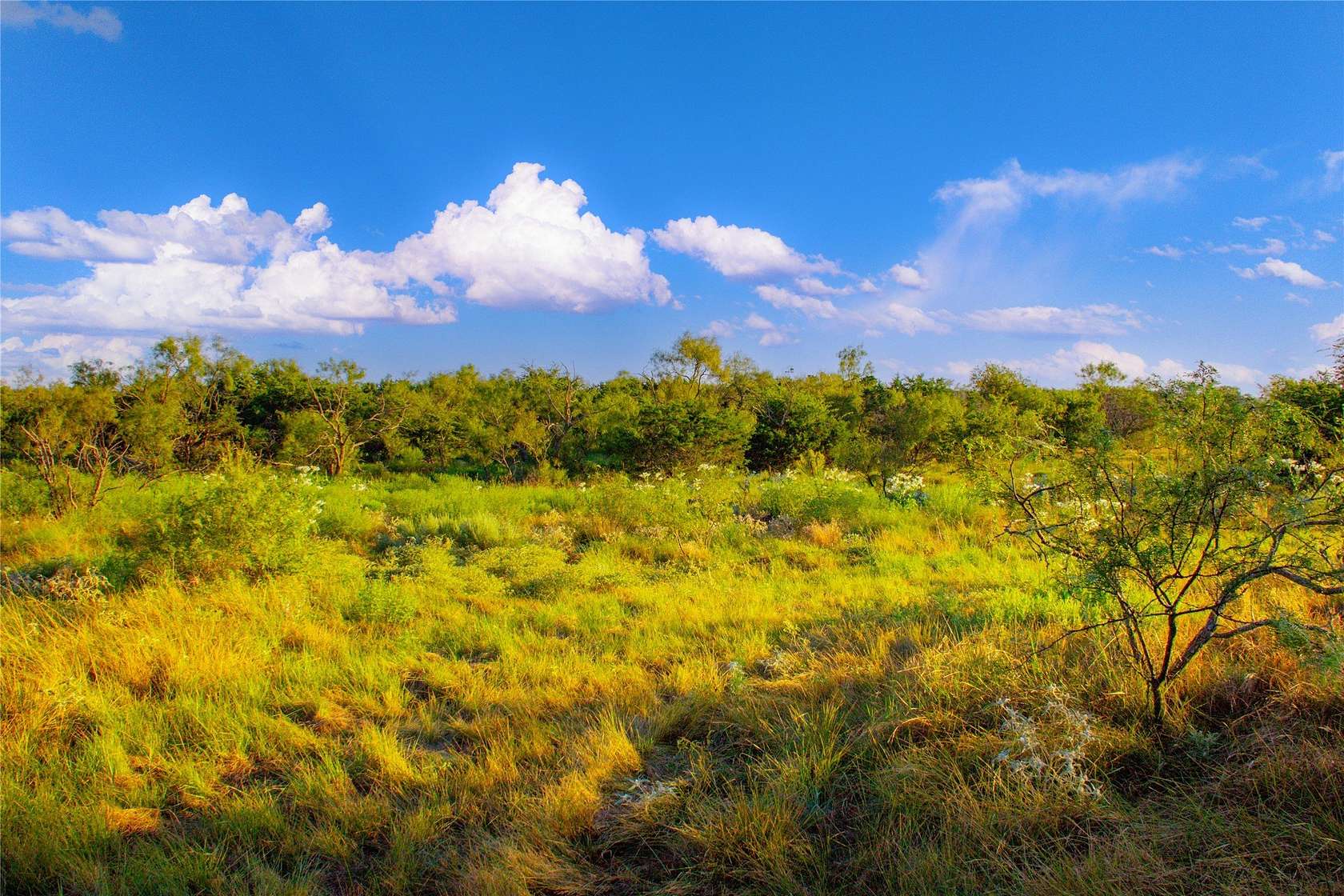 31.8 Acres of Land for Sale in Graford, Texas
