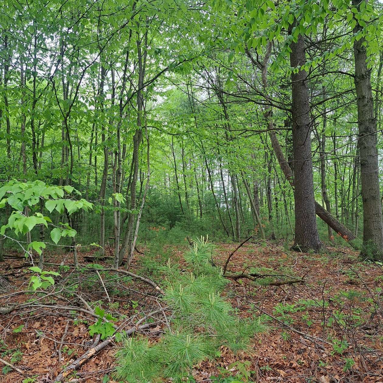 6.73 Acres of Residential Land for Sale in Huntingdon, Pennsylvania