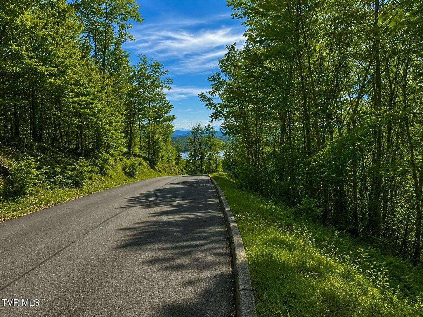 7.63 Acres of Residential Land for Sale in Mooresburg, Tennessee