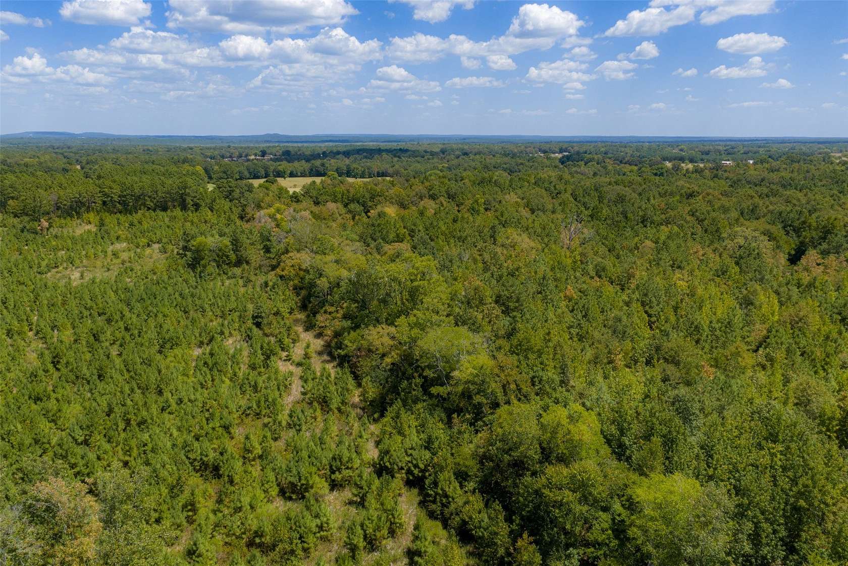 21.2 Acres of Recreational & Residential Land for Sale in Rusk, Texas