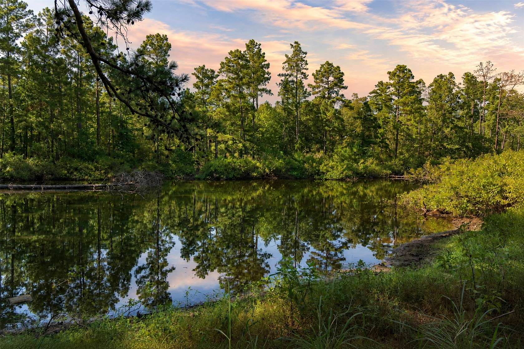 234 Acres of Land for Sale in Elkhart, Texas