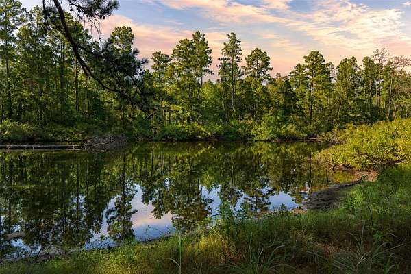 234 Acres of Land for Sale in Elkhart, Texas