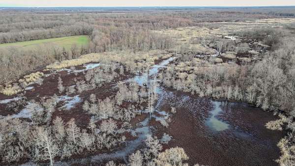 139 Acres of Land for Sale in Palestine, Arkansas