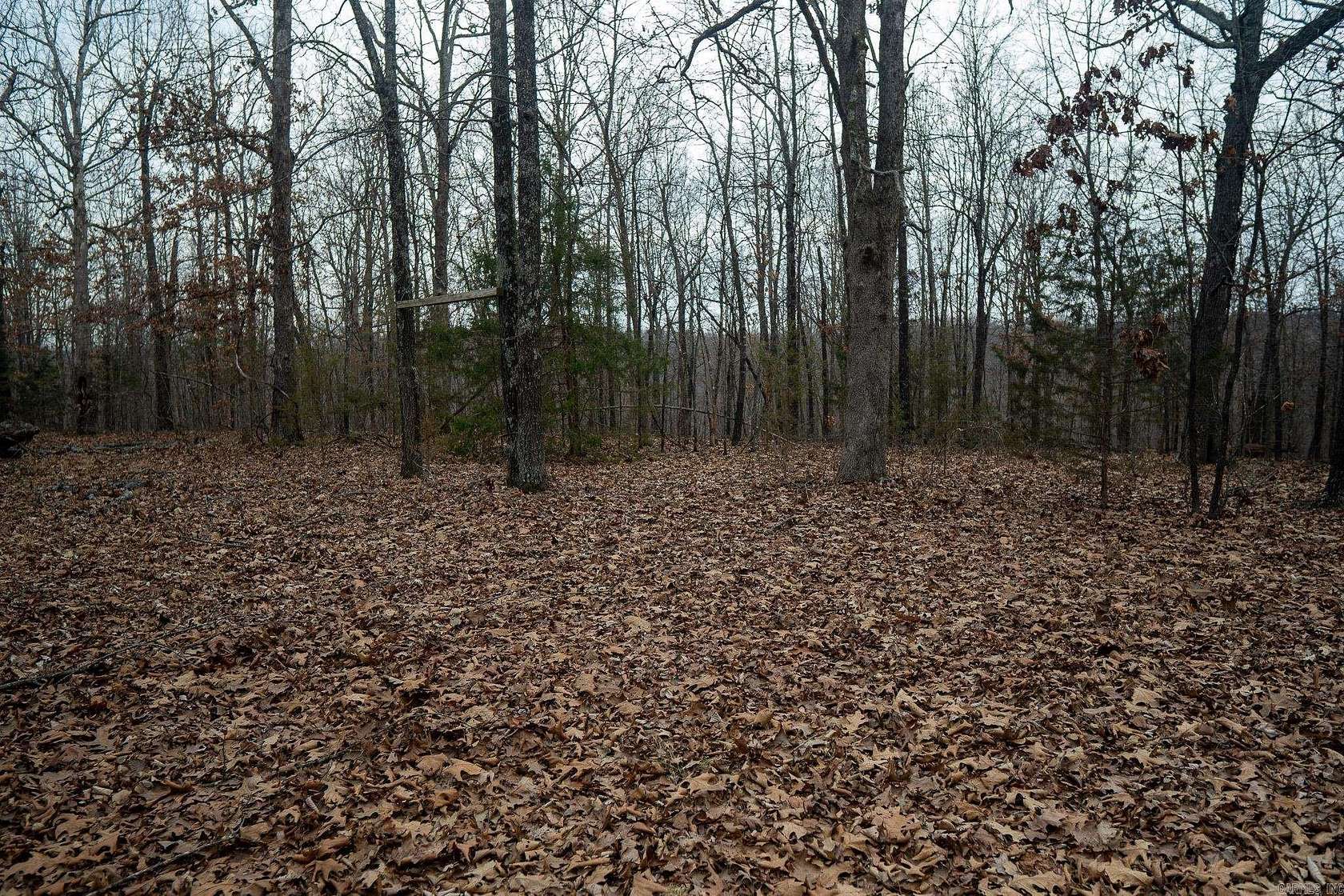 66 Acres of Recreational & Residential Land for Sale in Ravenden Springs, Arkansas