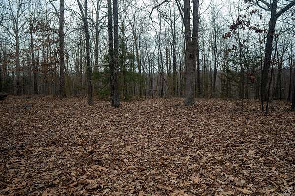 66 Acres of Recreational & Residential Land for Sale in Ravenden Springs, Arkansas