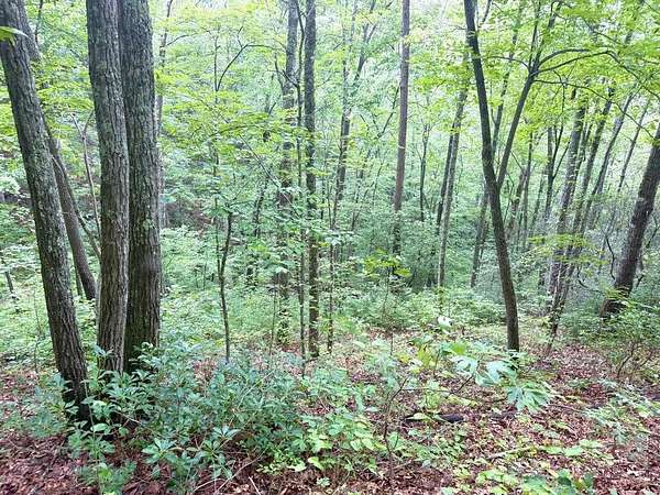 29.6 Acres of Recreational & Residential Land for Sale in Robbinsville, North Carolina
