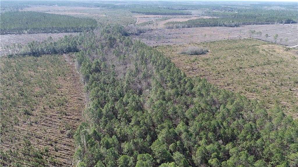 244 Acres of Recreational & Residential Land for Sale in Jesup, Georgia